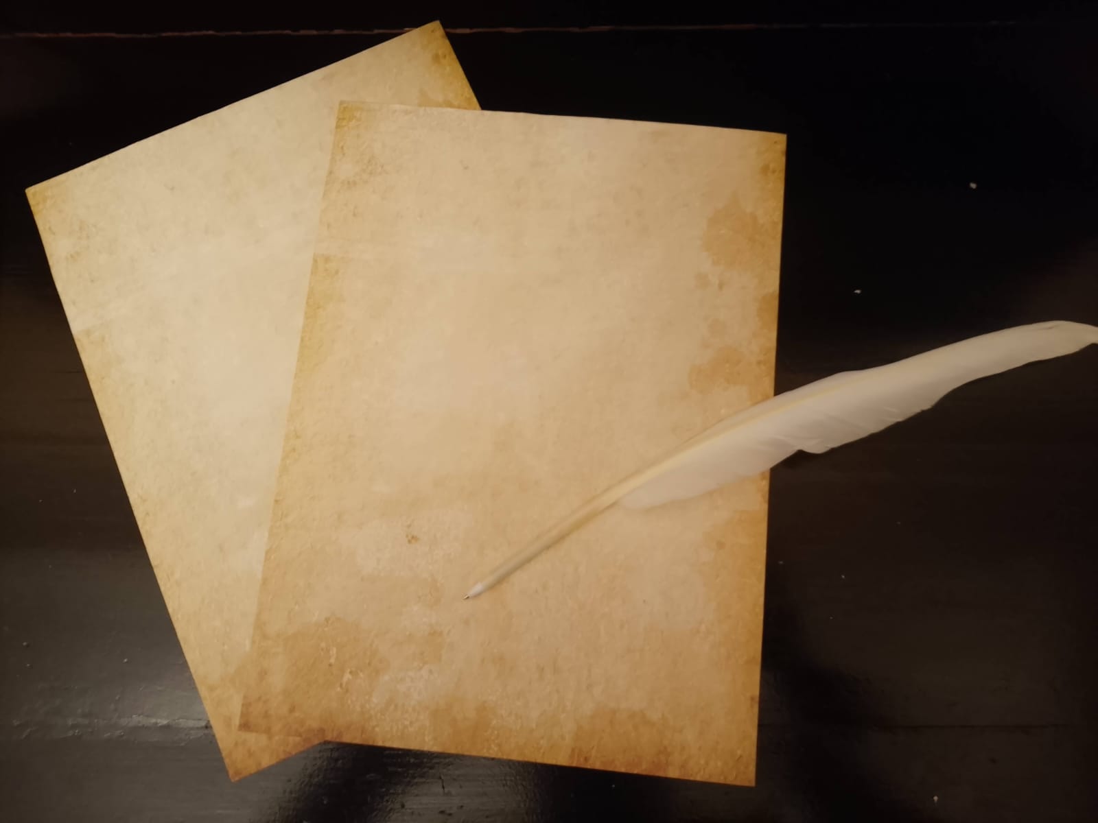 6. Carroll Room - Imagen 10