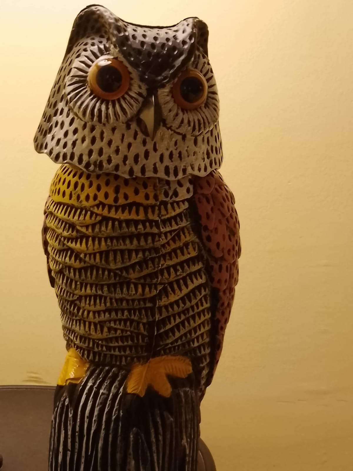 1. Rowling Suite - Imagen 6